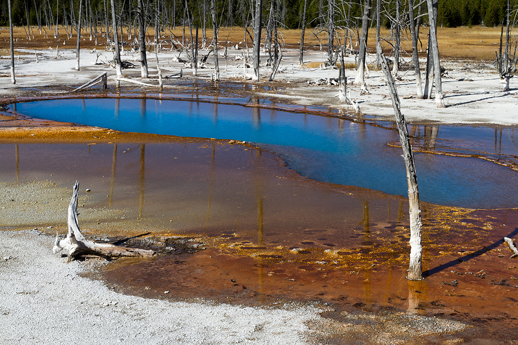 10-05 - 07.jpg - Yellowstone National Park, WY